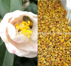 Top Puer Tea Bee Pollen, King Pollen, Rare N Precious, No Antibiotics, No Pesticides, No Pathogenic