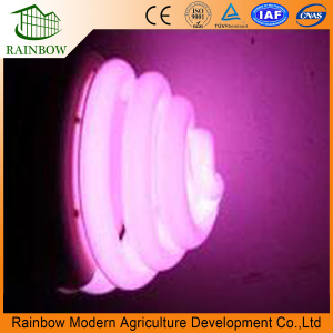 High Quality Grow Light for Greenhouse and Indoor Plant Flowering Growing